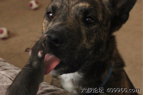 2025年第103期幽默猜测：意外的举动